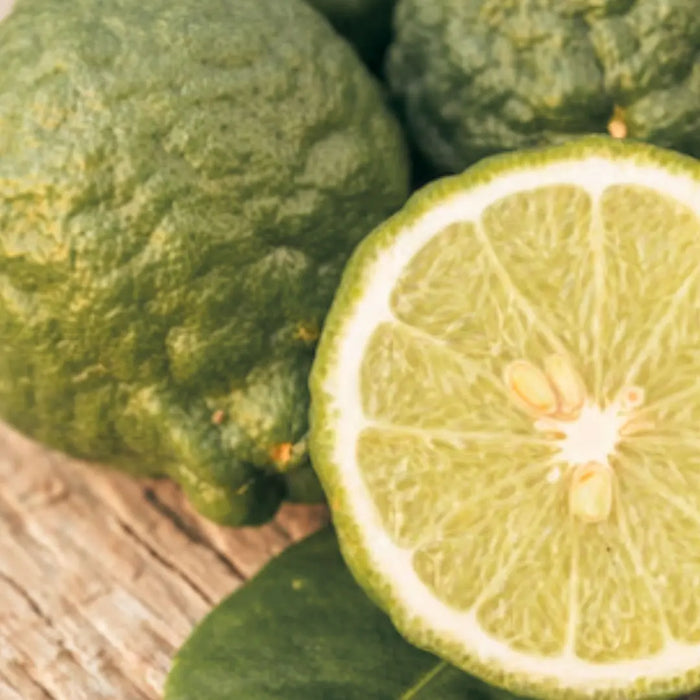 Dior-Sauvage_Tienda_Kimu-3.jpg Aromatic Echo