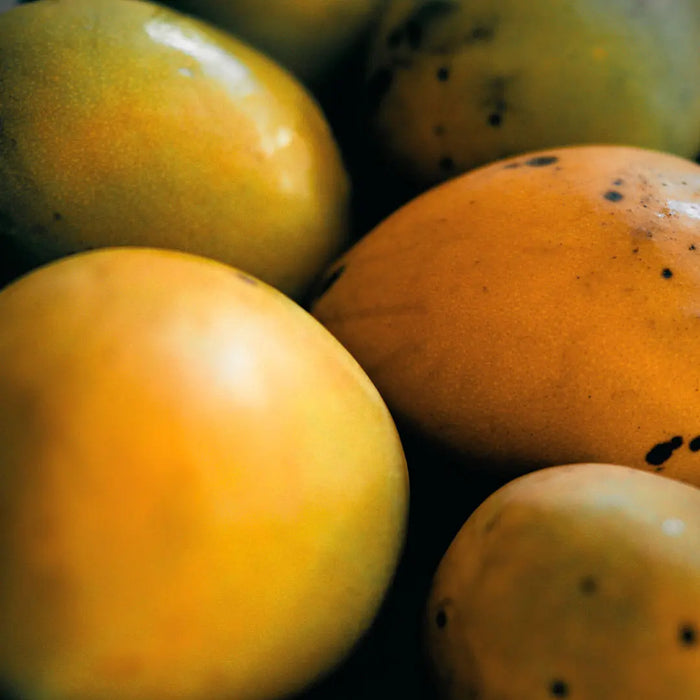 Fame_Tienda_Kimu-10.jpg Bright Drift